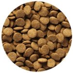 Natural Balance Vegetarian Formula Dry Dog Food Kibble Size