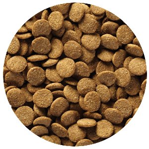 Natural Balance Vegetarian Formula Dry Dog Food - Vegan and Vegetarian